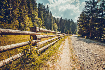 Autumn nature landscape. Empty road with wooden fence in pine tree forest. Trekking in Carpathian mountains, Ukraine. Nature landscape. Travel background. Vintage toning filter.