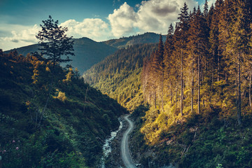 Fantastic sunset landscape with mountain road in pine tree forest. Travel background. Holiday, hiking, sport, recreation. Retro vintage toning effect. Autumn season