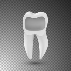 Illustration of Vector Realistic 3D Tooth. Healthy Teeth Care Vector Product Template Isolated on Transparent Background