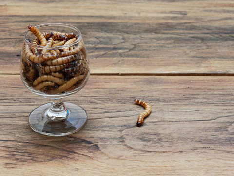 A super worm and group of super worms inside small brandy glass over dark wooden surface used as background in exotic pet food, insect, Halloween, celebration, decoration, scary, and haunting concepts