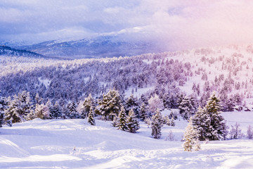 Snow Landscape - Ski Centre, Stryn (norway)