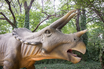 Triceratops dinosaurs realistic model. Head close of dinosaur with open mouth