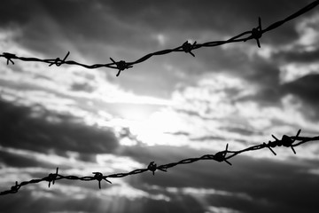 Fototapeta na wymiar Barbed wire against dramatic, dark sky. Lost freedom behind barbed wire. Black and white photo