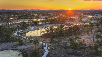 Panoramic view on stunning sunrise in swamp at Ķemeri national park, Latvia. Sunlight shines over...