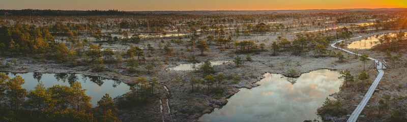 Panoramic view on stunning sunrise in swamp at Ķemeri national park, Latvia. Sunlight shines over the frosty marsh. Wooden trail leading to the watch tower surrounded by swamp pounds and junipers.
