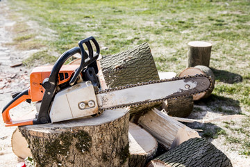 cutting wood with a motor saw
