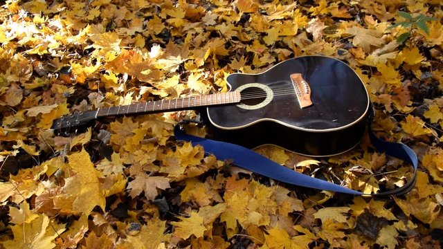 The guitar lies in the forest on the yellow leaves. Yellow leaves fall on the guitar. Autumn forest.