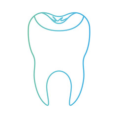 restored tooth with root in degraded green to blue color contour