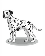 Cartoon of Dog-vector drawing-isolated white background