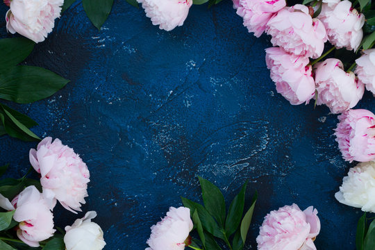 Fototapeta Fresh peony flowers frame with copy space on dark blue table background
