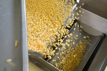 industrial production of pastaon automated food factory