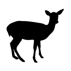 black silhouette of fawn on white background of vector illustration