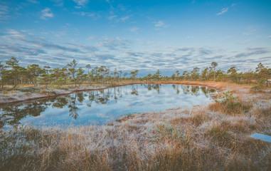 Stunning sunrise in swamp at Ķemeri national park, Latvia. Sunlight shines over the frosty marsh. Wooden trail leading to the watch tower surrounded by swamp pounds and junipers.