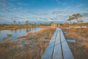 Stunning sunrise in swamp at Ķemeri national park, Latvia. Sunlight shines over the frosty marsh. Wooden trail leading to the watch tower surrounded by swamp pounds and junipers.