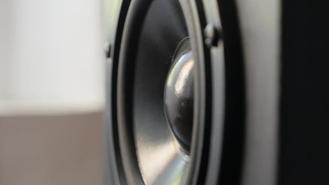 Black Hi-Fi speaker membrane vibrations  footage - Acoustic diaphragm plays lower frequencies close-up