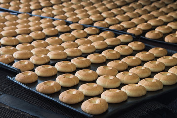 Production line of baking cookies on factory, food industry, closeup