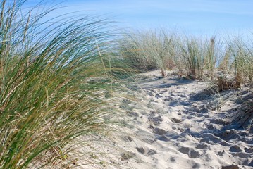 Accès dune
