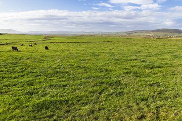 Open fields disappearing over far horizon, Island of Orkney, Scotland, UK.