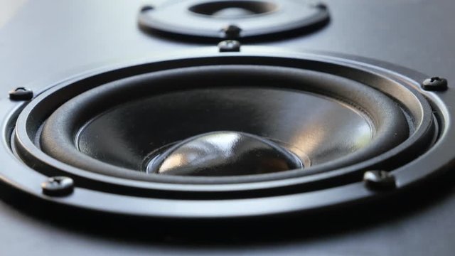  High fidelity speaker membrane vibrations close-up - Acoustic diaphragm plays lower frequencies