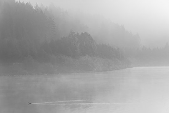 Black and white fine art landscape, fog over lake