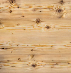 Fototapeta premium Wood natural larch solid texture