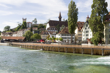 lucern