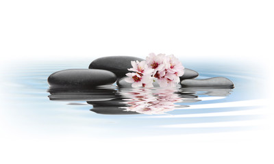 spa de piedras y flores