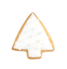 Delicious Christmas cookie on white background