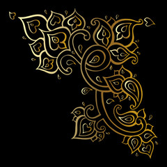 Paisley Ethnic ornament.