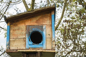Housebirds on the field