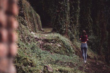 Fototapeta premium The woods