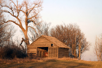 Old Barns