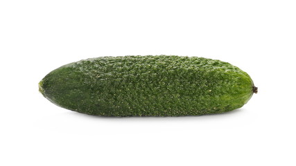 Small cucumber isolated on white background