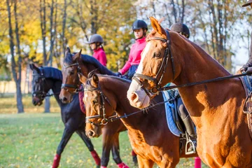 Foto op Canvas Group of teenage girls riding horses in autumn park. Equestrian sport background with copy space © skumer