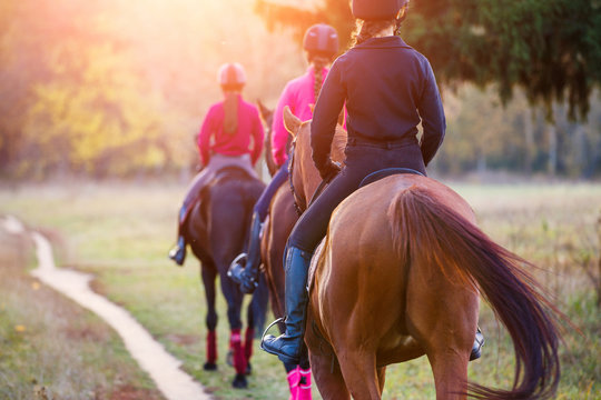 Group of teenage girls riding horses in autumn park. Equestrian sport background with copy space