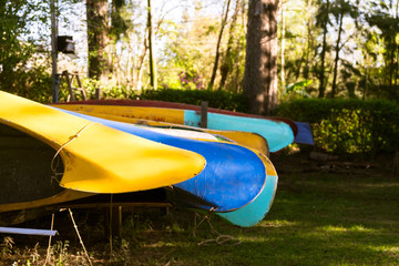 Canoes lined up in the warm evening light, ready to be taken on the water