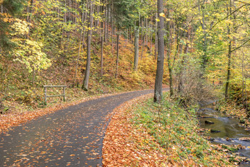 Herbst im Eisenberger Mühltal