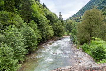 Fototapeta na wymiar Flowing Firtina River in Rize in Forest