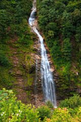 Fototapeta na wymiar Waterfall in Ayder Plateau Rize