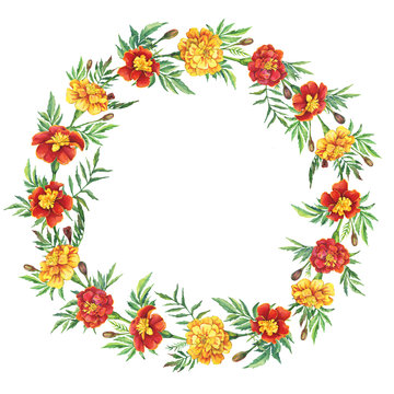 Banner, round frame with a flowers Tagetes patula, the French marigold (Tagetes erecta, Mexican marigold). Red, yellow marigold. Watercolor painting illustration isolated on white background.