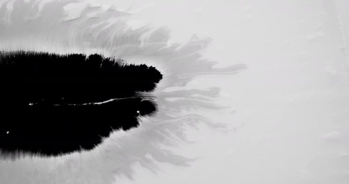 Beautiful black ink running, bleeding and absorbing into white background. Amazing detail and can be used as luma matte, double exposure or transitions