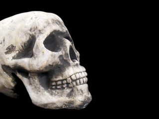 Obraz premium Skull on Black