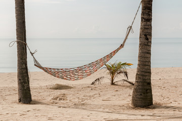 An empty hammock hanging between  coconut trees in a tropical sand beach.