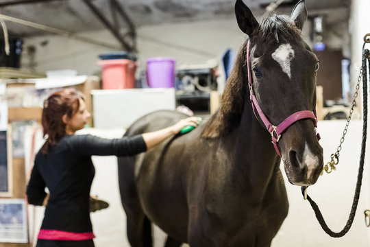 Woman and her horse at the stables
