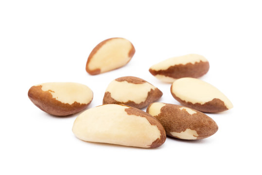 Para nuts isolated on a white background