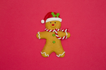 Christmas Gingerbread Cookie
