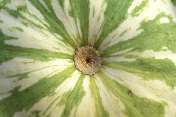 een close-up van een pompoen