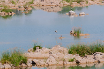 Panna river and rivebed at Panna National Park, Madhya Pradesh, India