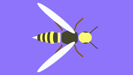 Bee flat design logo top