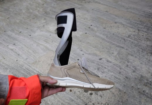 orthopedic spring guardian for ankle